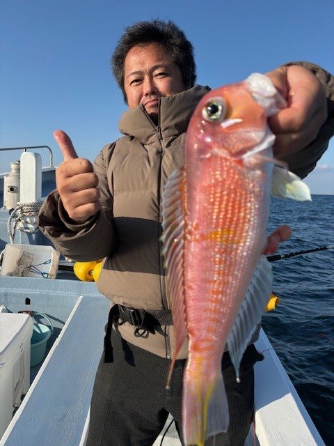 アマダイ(アカアマダイ)