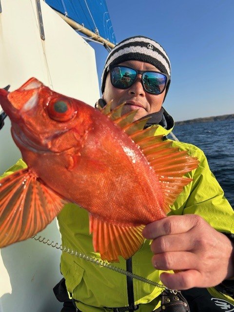 キントキ(チカメキントキ)