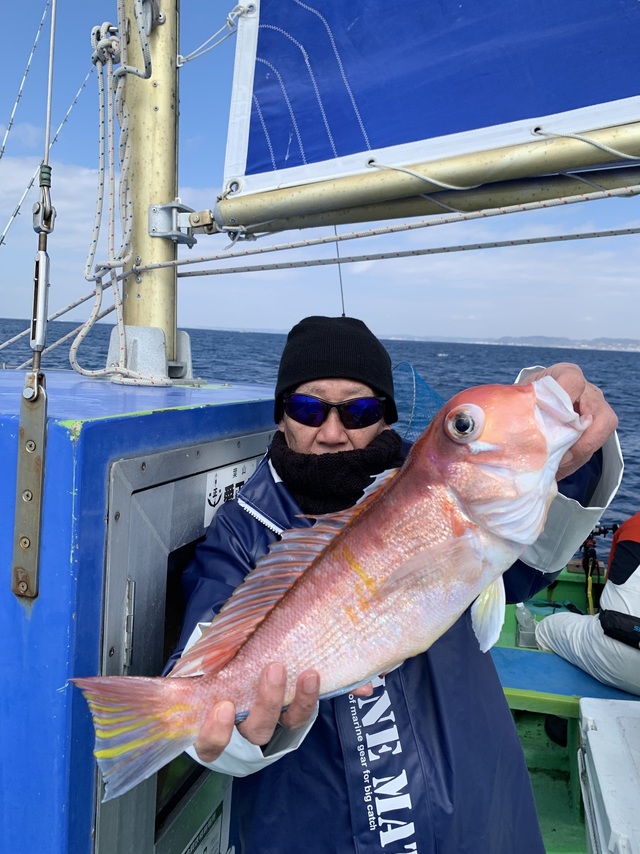 アマダイ(アカアマダイ)