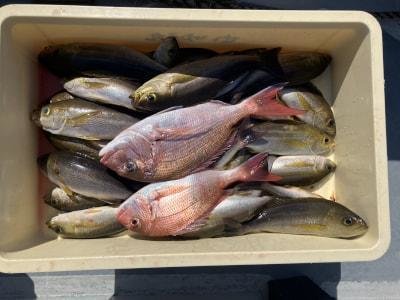 マダイ・イサギ(イサキ)