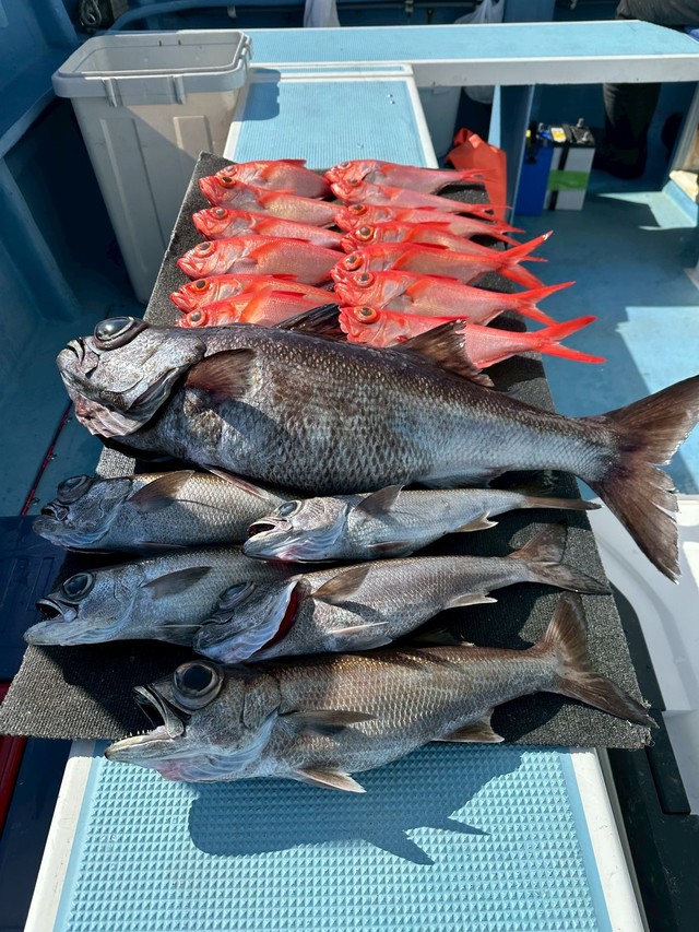 クロムツ・キンメ(キンメダイ)