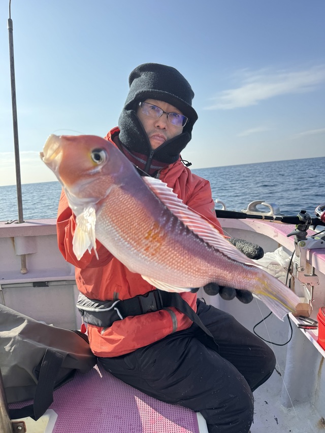 アマダイ(アカアマダイ)