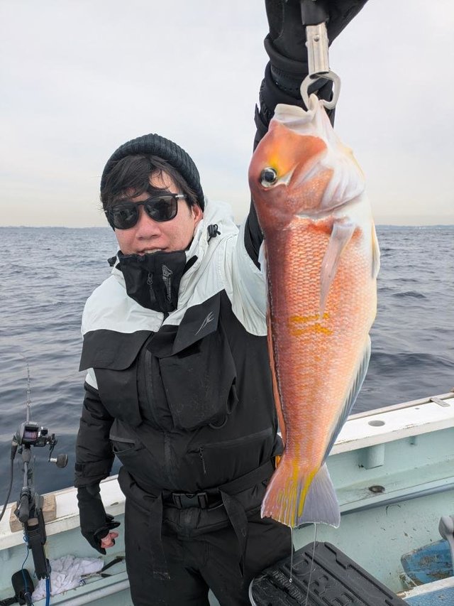 アマダイ(アカアマダイ)