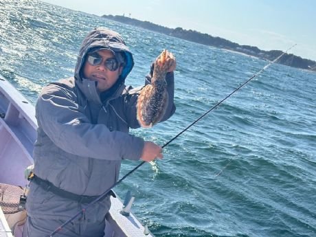 スミイカ(コウイカ)