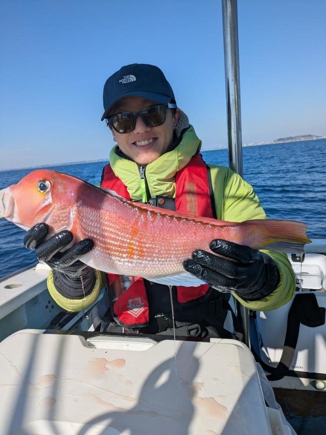 アマダイ(アカアマダイ)