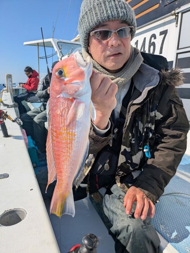 アマダイ(アカアマダイ)