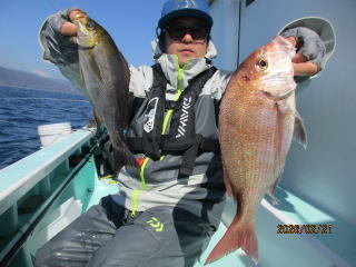 マダイ・イサキ