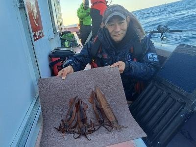 ヤリイカ・スルメイカ