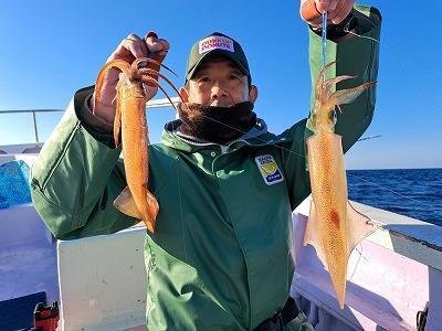 ヤリイカ・スルメイカ