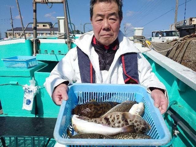 ヒガンフグ・コモンフグ・ショウサイフグ