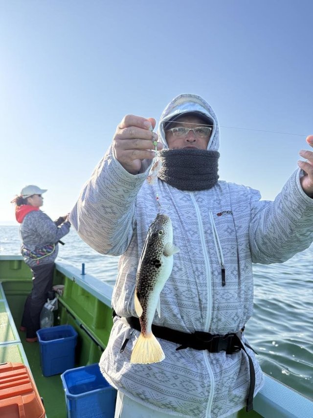 フグ(ショウサイフグ)