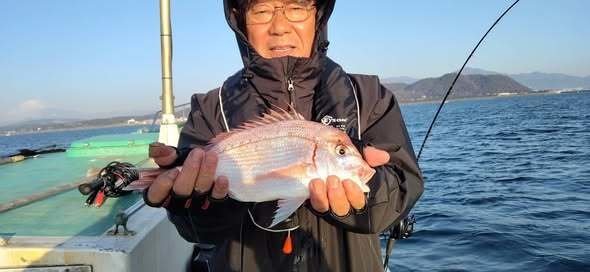 ハナダイ(チダイ)