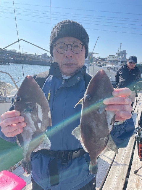 ウマヅラ(ウマヅラハギ)