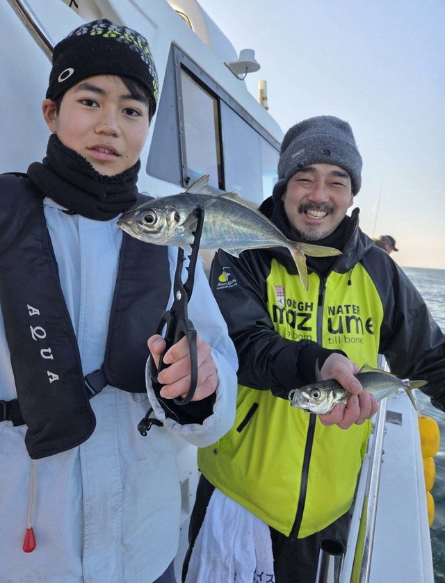 トツカアジ(マアジ)