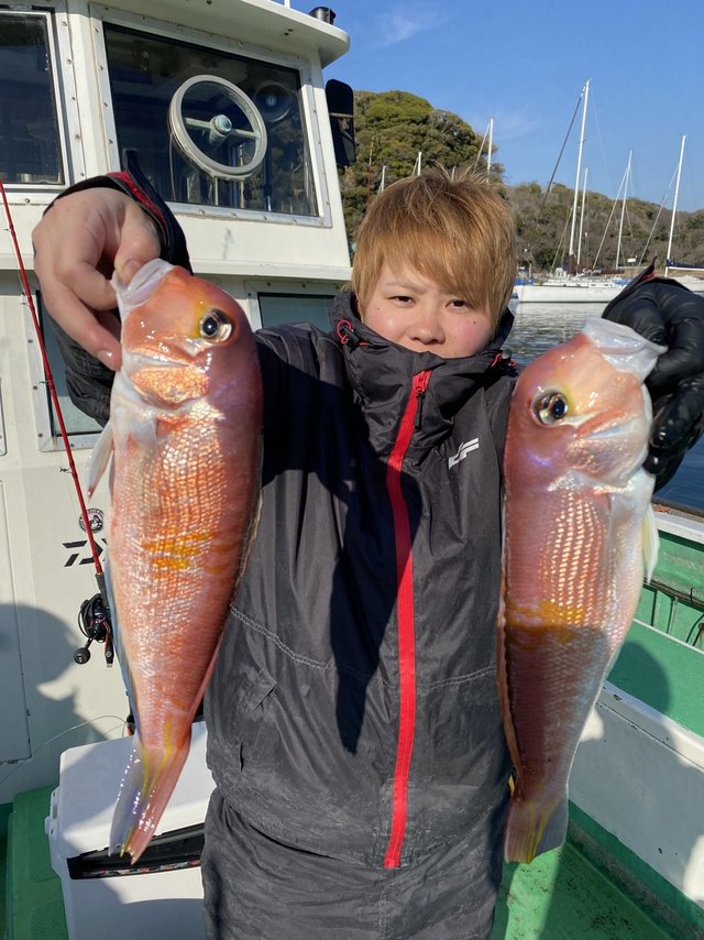 アマダイ(アカアマダイ)