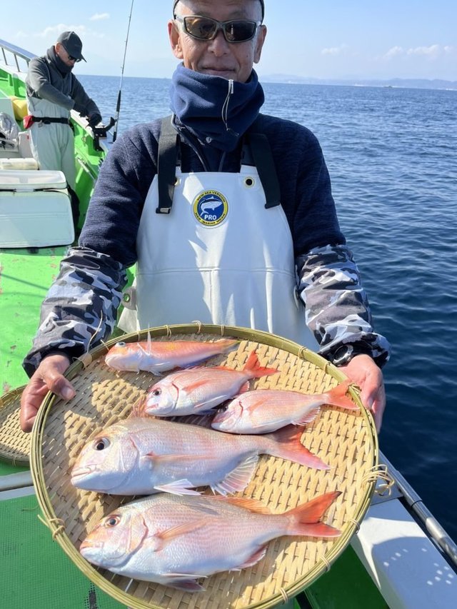 マダイ・ハナダイ(チダイ)・アマダイ(アカアマダイ)