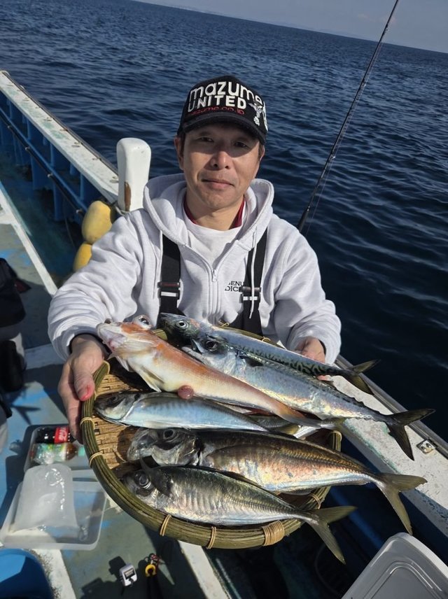 アジ(マアジ)・サバ(マサバ)