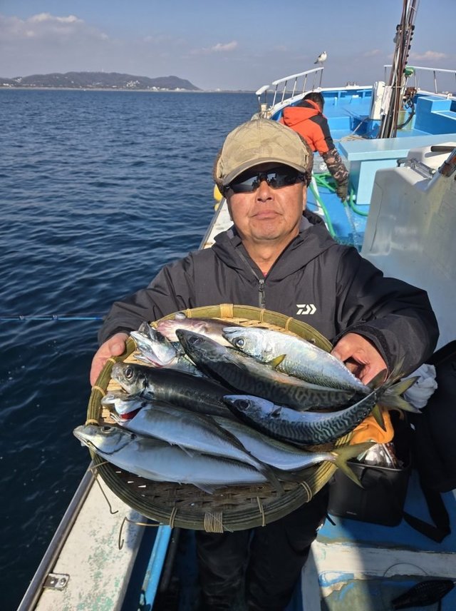 アジ(マアジ)・サバ(マサバ)