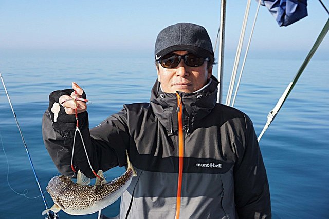 ショウサイフグ