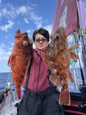 ウッカリカサゴ
