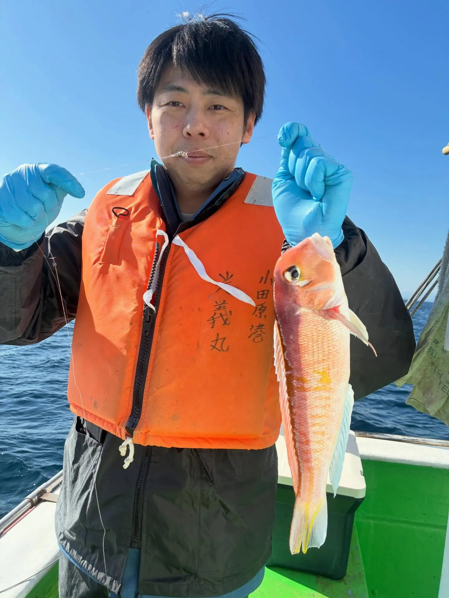 アマダイ(アカアマダイ)