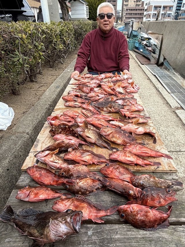 ガシラ(カサゴ)・メバル