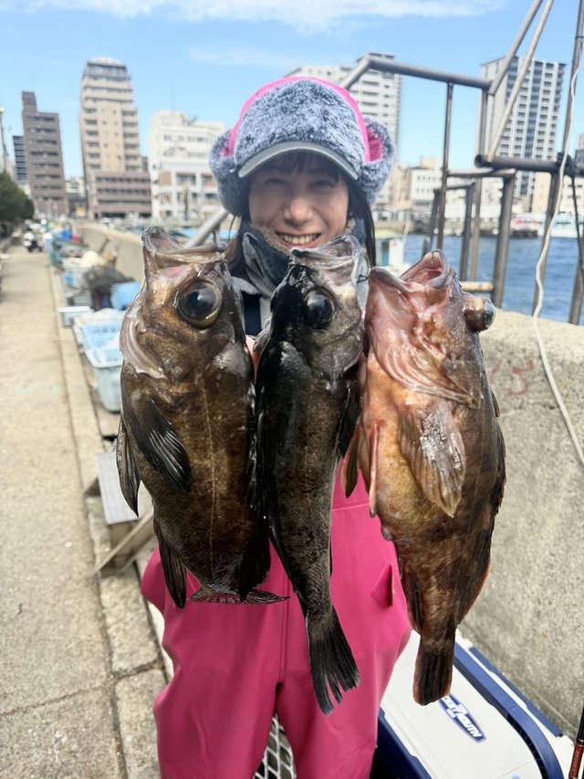 ガシラ(カサゴ)・メバル