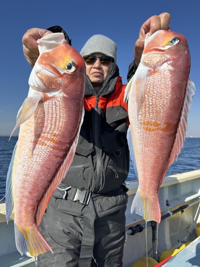 アマダイ(アカアマダイ)