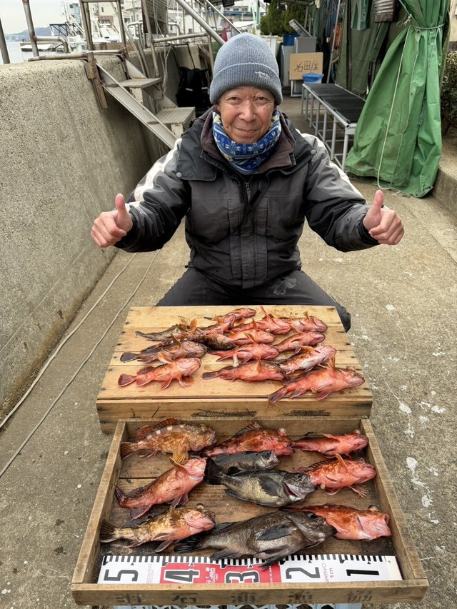 ガシラ(カサゴ)・メバル