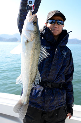 シーバス(スズキ)