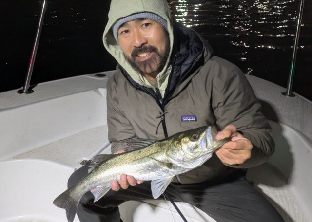 シーバス(スズキ)