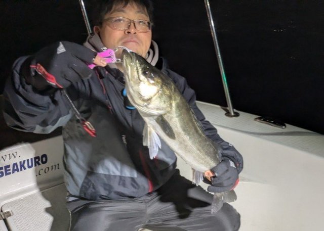 シーバス(スズキ)