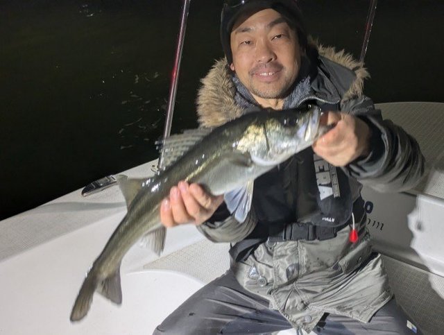 シーバス(スズキ)