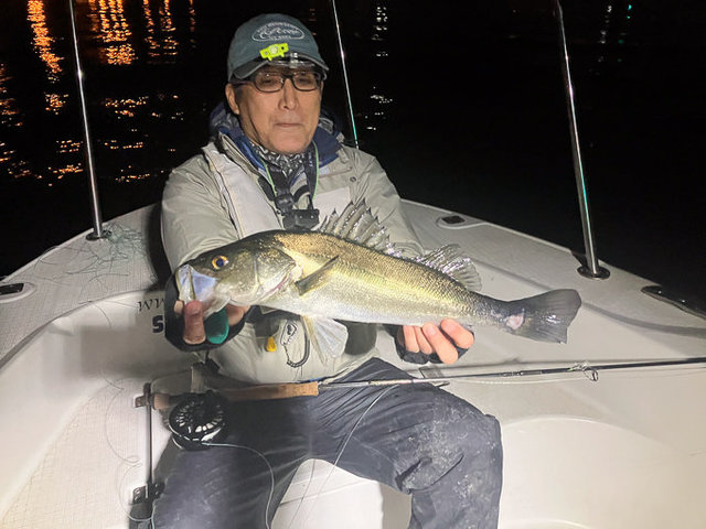 シーバス(スズキ)