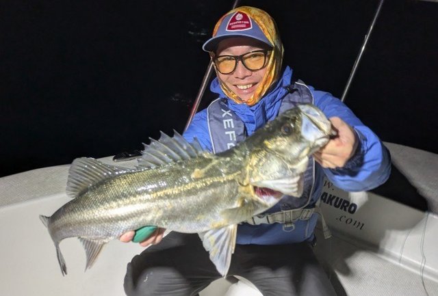 シーバス(スズキ)