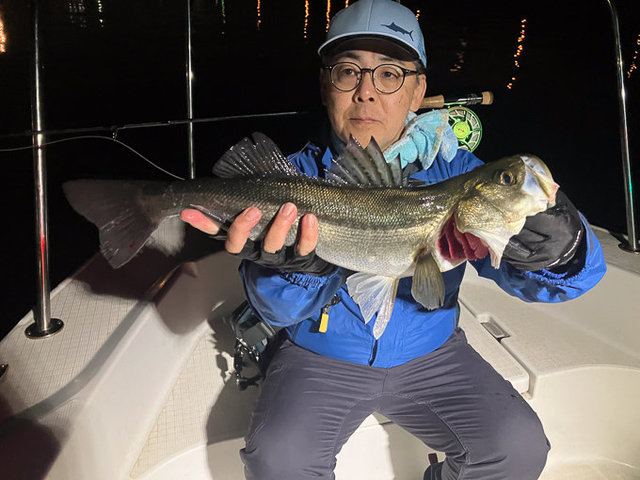 シーバス(スズキ)