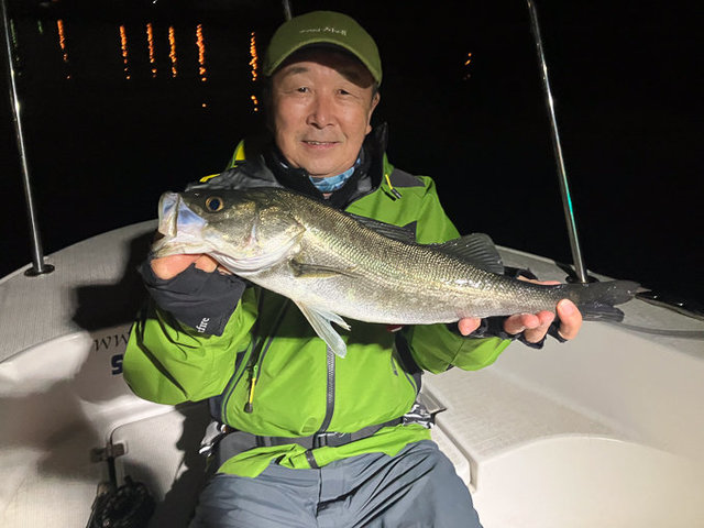 シーバス(スズキ)