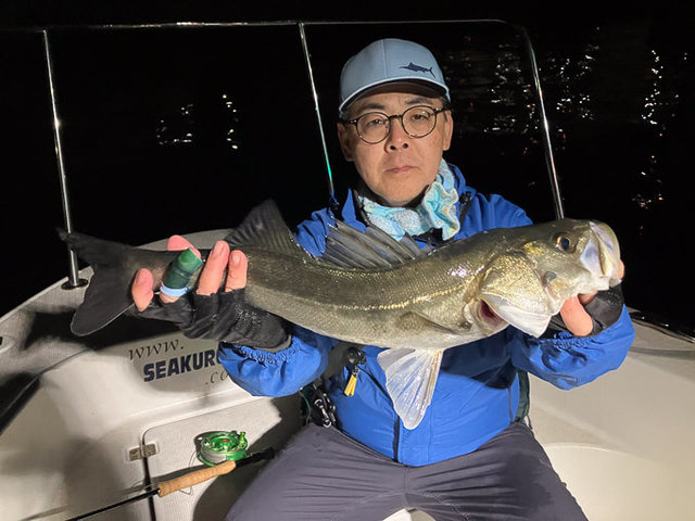 シーバス(スズキ)