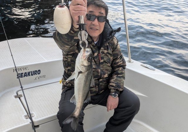 シーバス(スズキ)