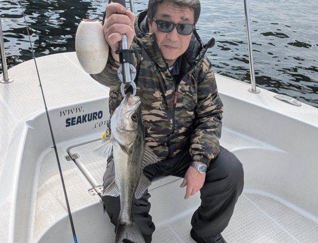 シーバス(スズキ)