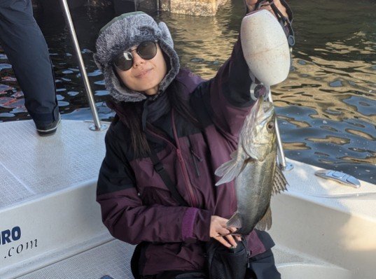 シーバス(スズキ)