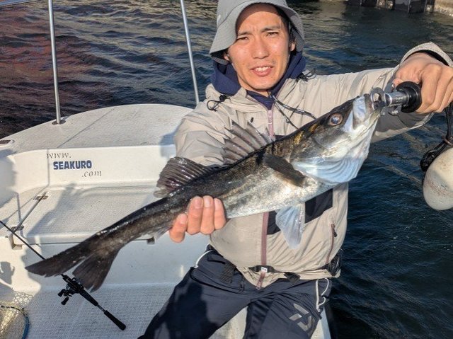 シーバス(スズキ)