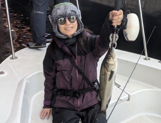 シーバス(スズキ)