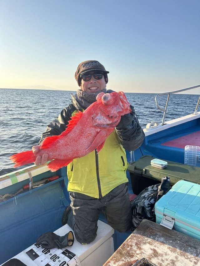 ベニアコウ(オオサガ)