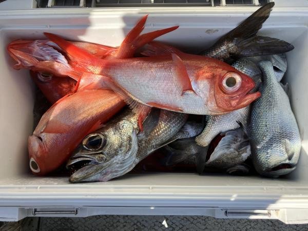 クロムツ・キンキ(キチジ)