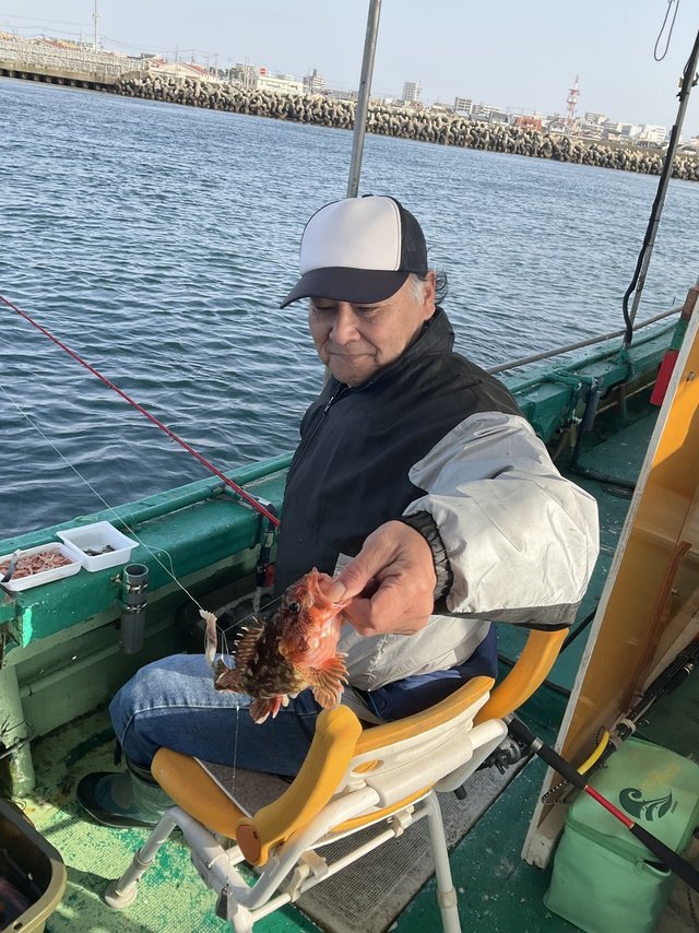 ガシラ(カサゴ)