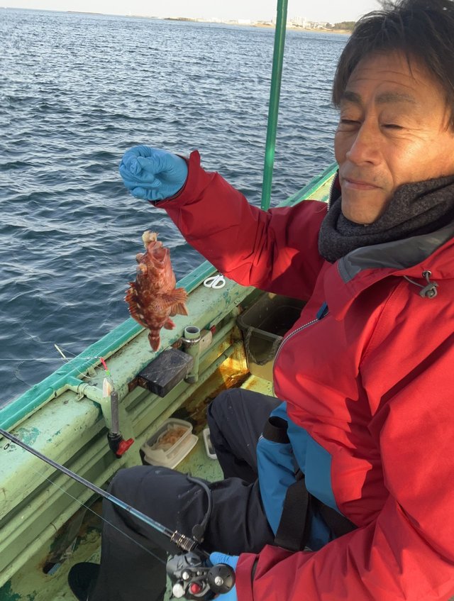 ガシラ(カサゴ)