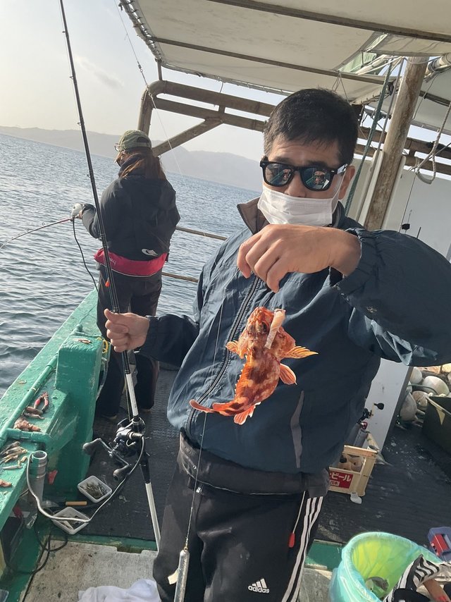 ガシラ(カサゴ)