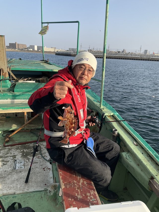 ガシラ(カサゴ)