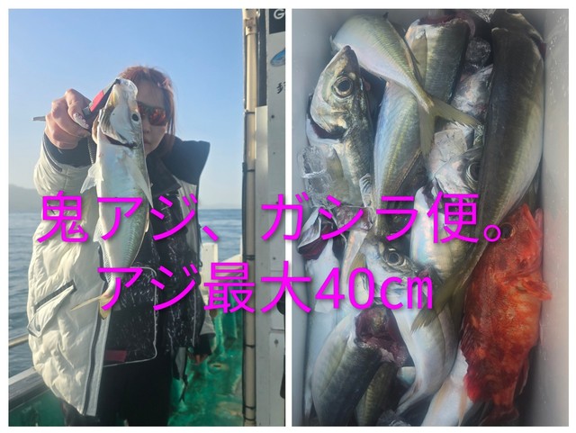 アジ(マアジ)・サバ(マサバ)・ガシラ(カサゴ)